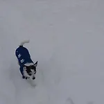 Sosnowy Zakatek Odpocznij Tu Kurzetnik