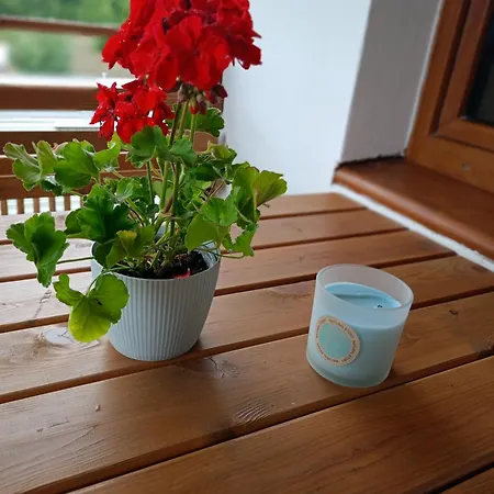 Sosnowy Zakątek Odpocznij Tu Dom wakacyjny