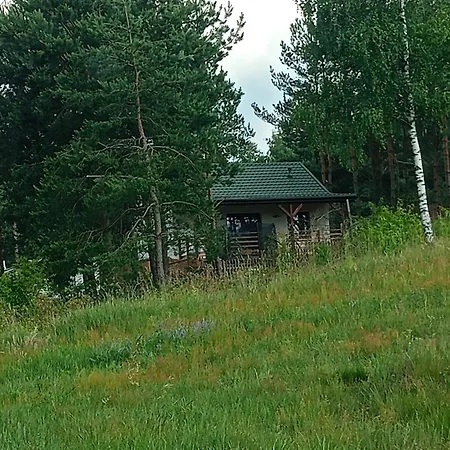 Semesterbostad Sosnowy Zakatek Odpocznij Tu *