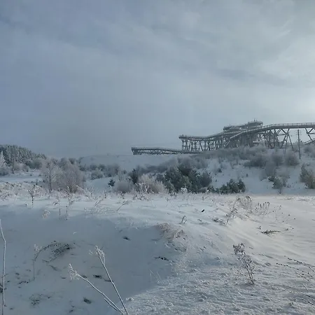 Sosnowy Zakatek Odpocznij Tu Kurzetnik