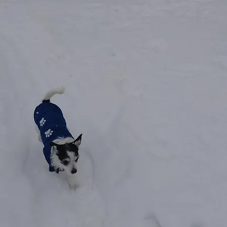 Sosnowy Zakatek Odpocznij Tu Kurzetnik